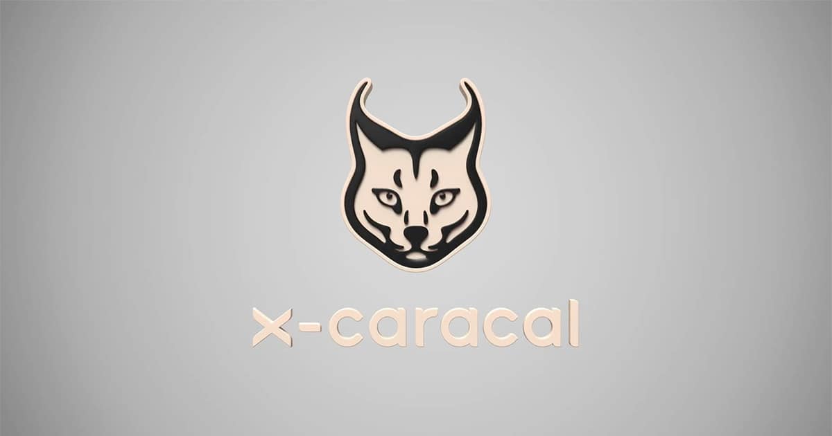 x-caracal: Call center monitoring and analytics