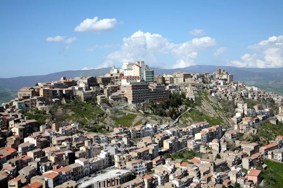 Oasi Maria SS Case Study