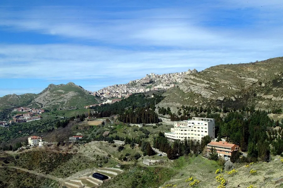 Oasi Maria SS Case Study