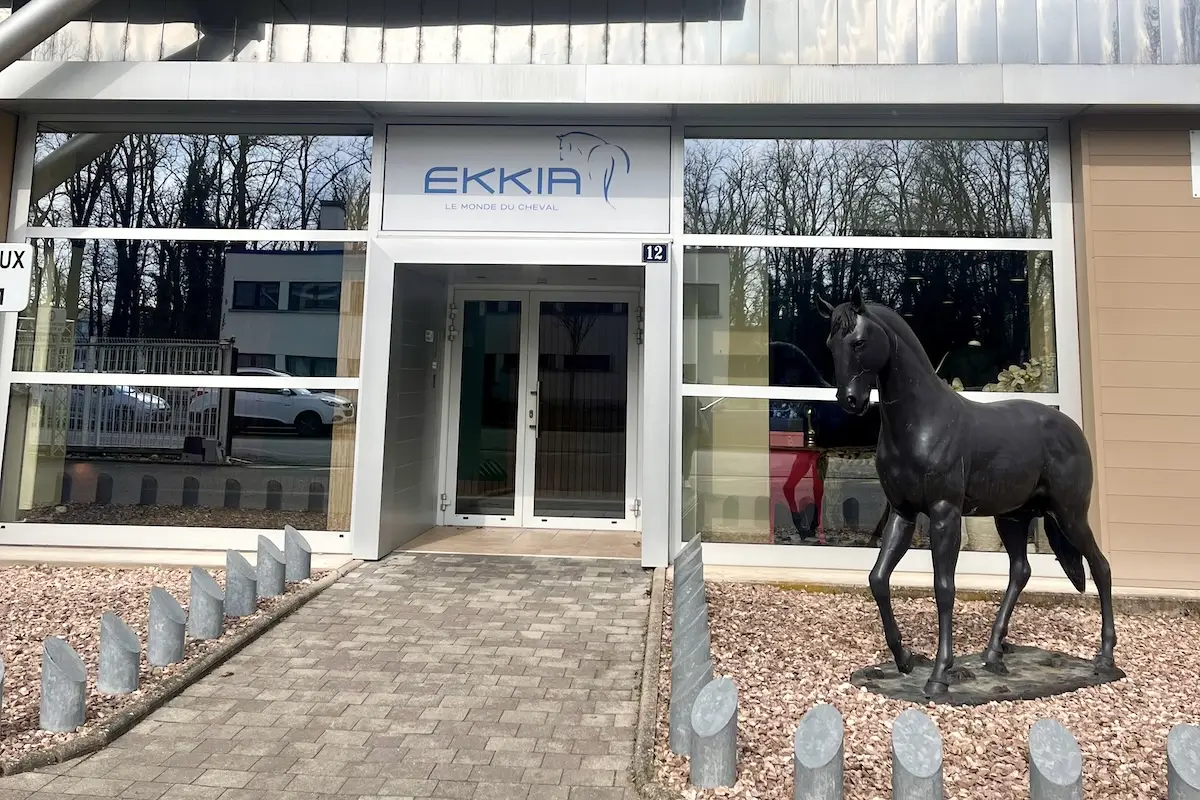 Ekkia Case study
