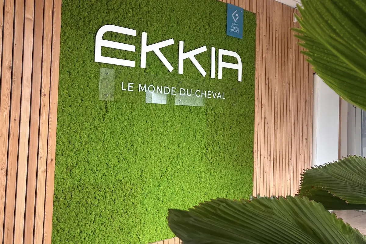 Ekkia Case study