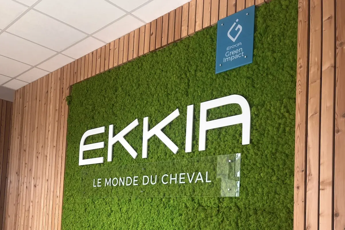 Ekkia Case study