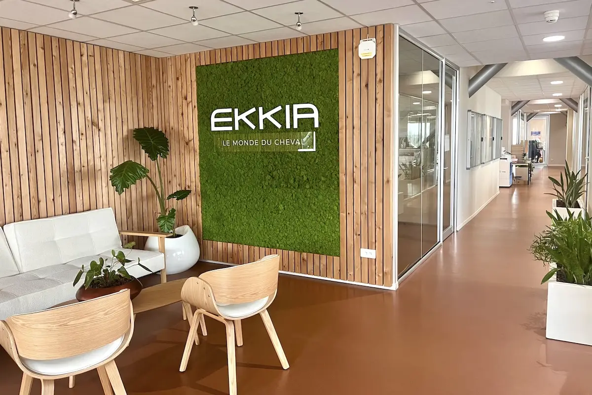 Ekkia Case study
