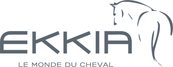 ekkia-logo